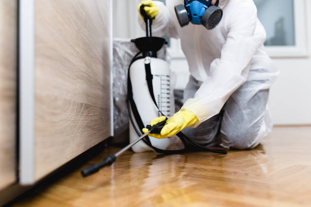 Best Residential Pest Control  in Junction City, CA