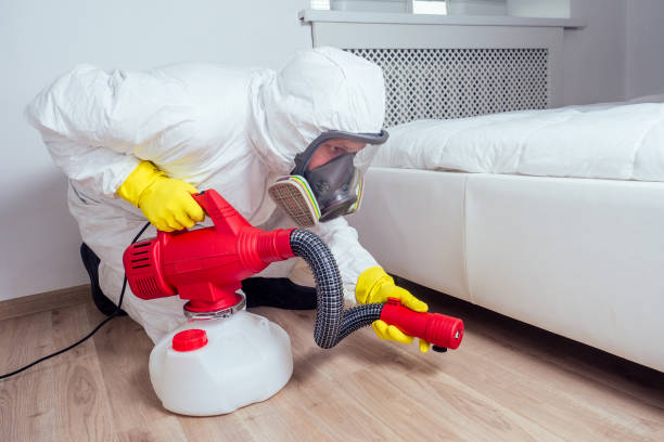 Best Ant Control Services  in Junction City, CA
