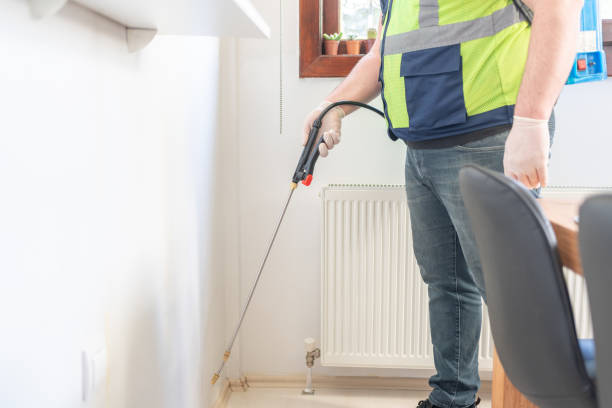 Best Rat Extermination Near Me  in Junction City, CA