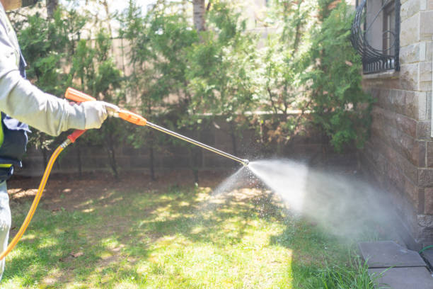Best Spider Control Near Me  in Junction City, CA