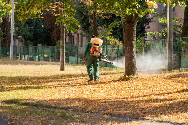 Best Pest Control Near Me  in Junction City, CA