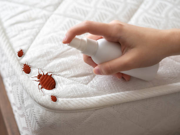 Best Pest Inspection Near Me  in Junction City, CA
