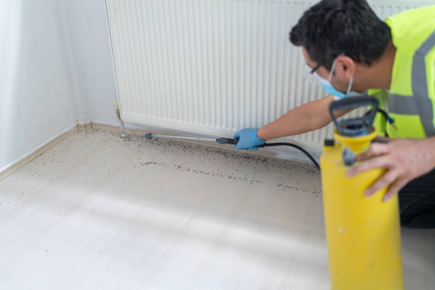 Best Pest Prevention Services  in Junction City, CA