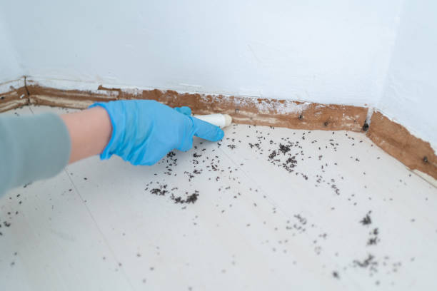 Best Wildlife Control Services  in Junction City, CA